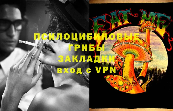 мяу мяу мука Белокуриха
