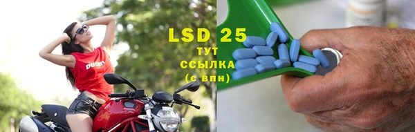 индика Беломорск