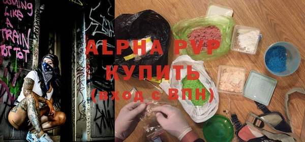 индика Беломорск