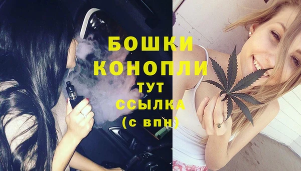 индика Беломорск