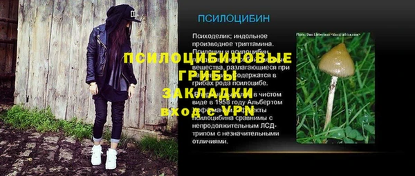 мяу мяу мука Белокуриха