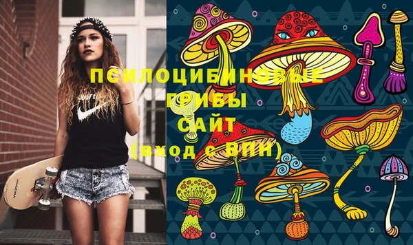 мяу мяу мука Белокуриха