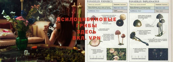 молекула духа Тихорецк