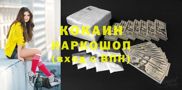 мяу мяу мука Белокуриха