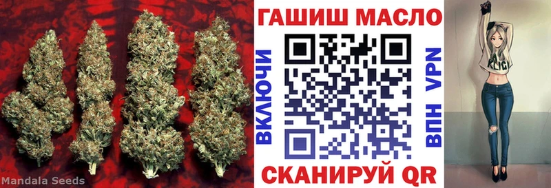 ТГК концентрат закладка Гудермес