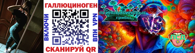 Псилоцибиновые грибы GOLDEN TEACHER  Гудермес 