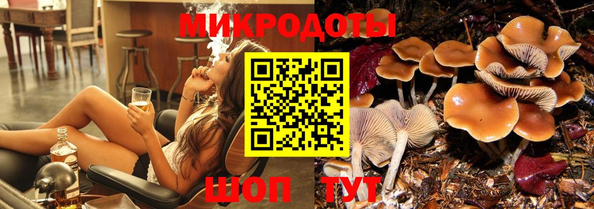 Гудермес  Псилоцибиновые грибы мухоморы  купить  цена  Вход с VPN 