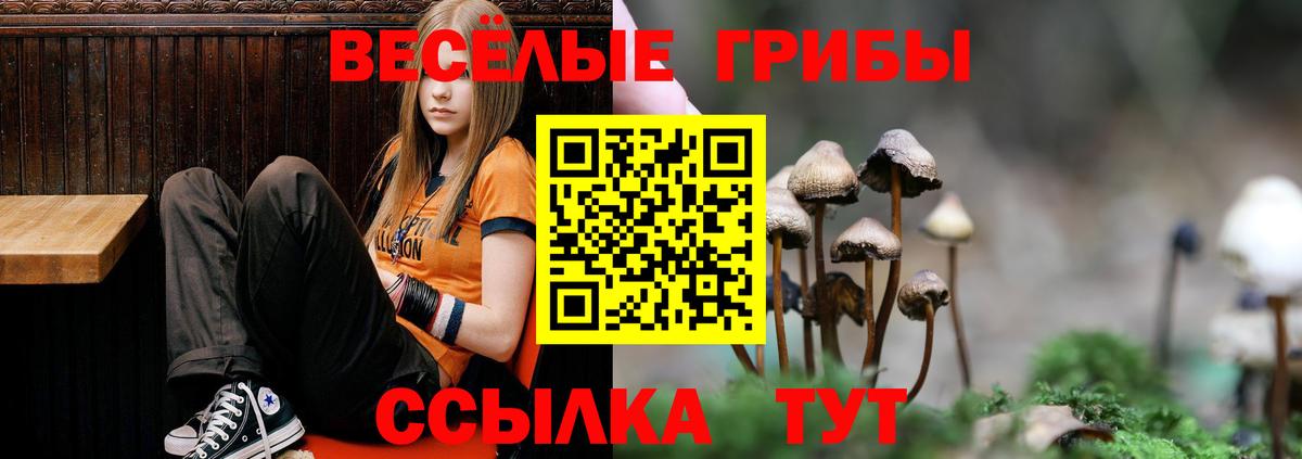 Псилоцибиновые грибы мухоморы  продажа наркотиков  Гудермес 