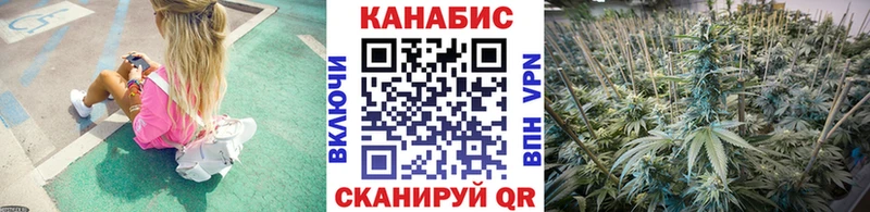 даркнет сайт  Гудермес  Шишки марихуана марихуана 